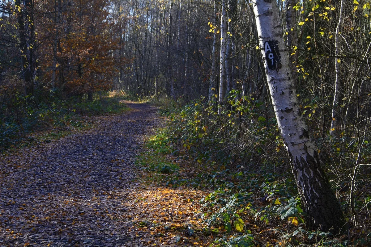 Le premier réflexe absolu : sceller la confidentialité